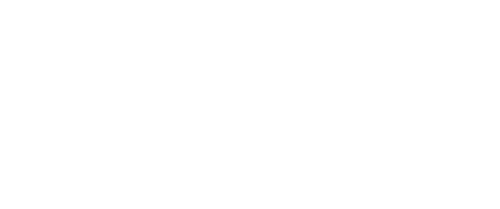 Fit_nu_studio_logo
